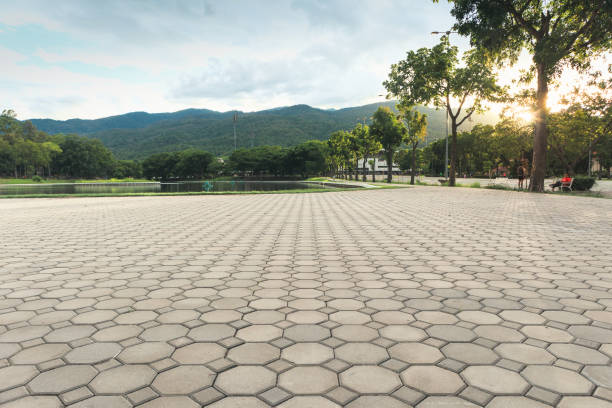 Best Professional Driveway Pavers  in Lenox, IA